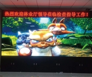 浙江紹興某政府機關(guān)液晶拼接屏